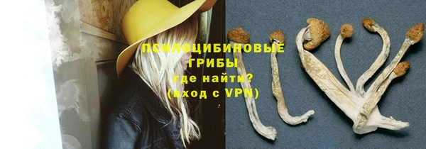 PSILOCYBIN Армянск