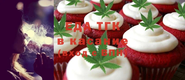 хмурый Аркадак