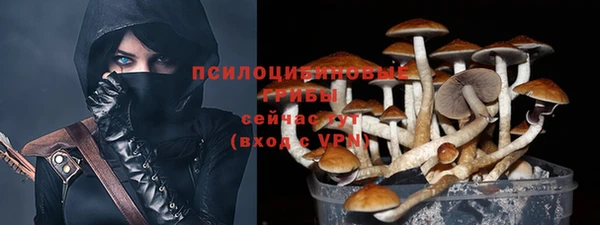 PSILOCYBIN Армянск