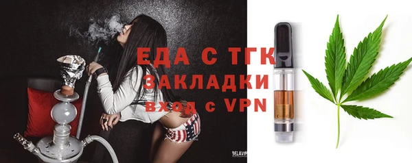 хмурый Аркадак
