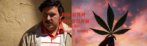 PSILOCYBIN Армянск