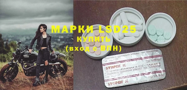 PSILOCYBIN Армянск