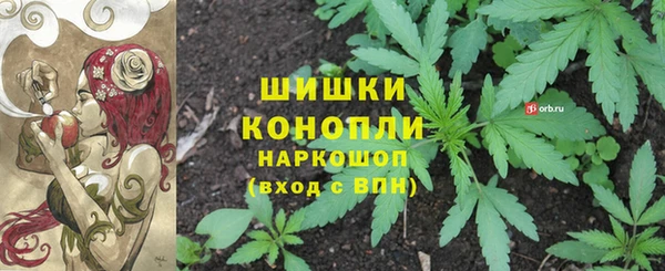 хмурый Аркадак