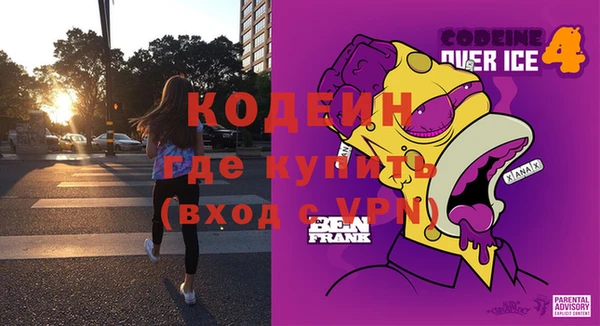 хмурый Аркадак