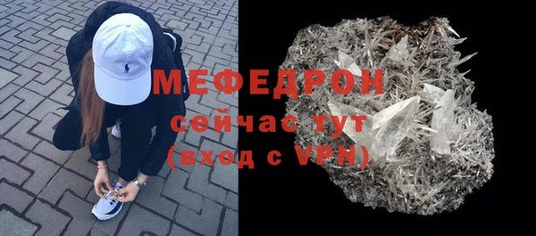 хмурый Аркадак