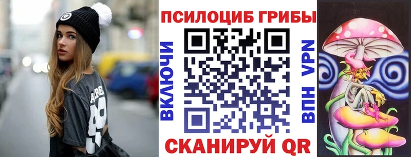 mega сайт  купить наркотики цена  Валдай  Псилоцибиновые грибы Psilocybe 