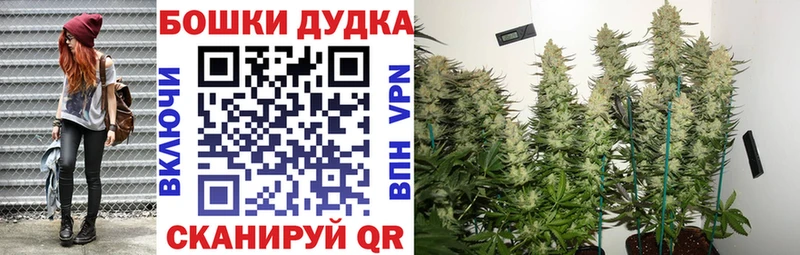 МЕГА ссылки  Валдай  МАРИХУАНА Amnesia 